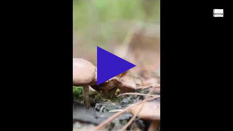 Link 23 oktober 2022