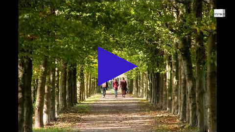 Link 6 november 2022